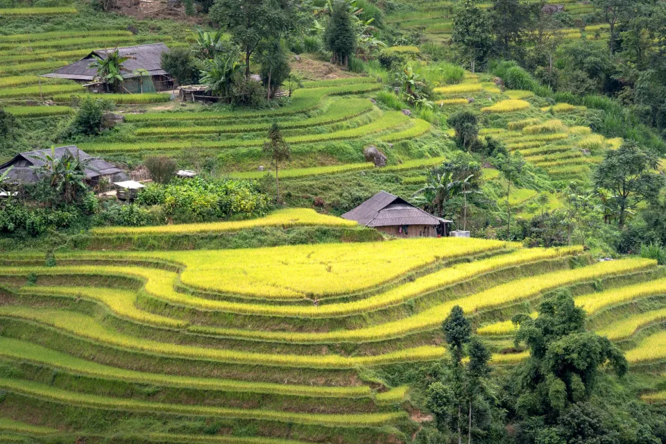 Kho gạo của Dương Thị Lợi
